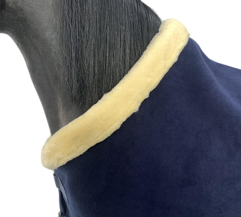 #_0005_IMG_5593_副本