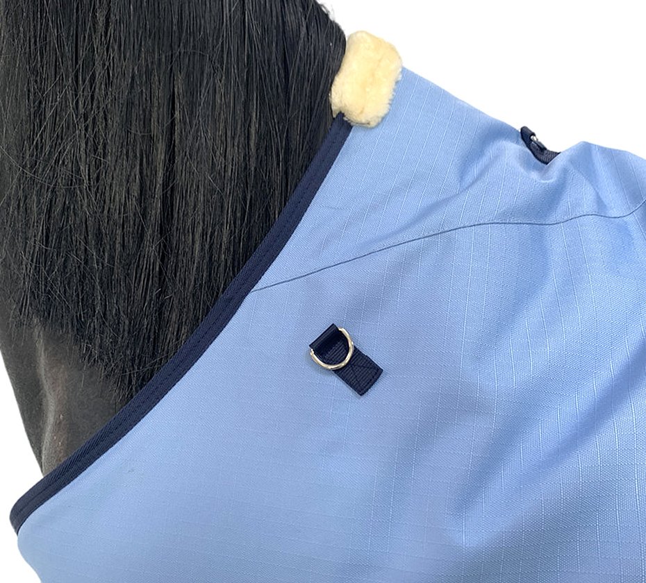 #_0005_IMG_6086_副本