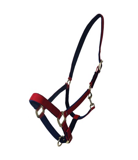 Horse Halter Nylon Dark Red