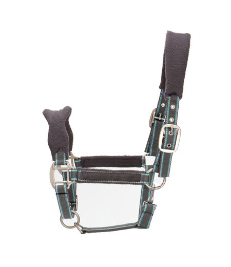 Horse Halter Nylon Mixed color
