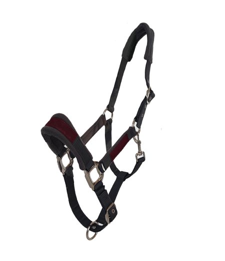 Horse Halter Nylon Dark Grey