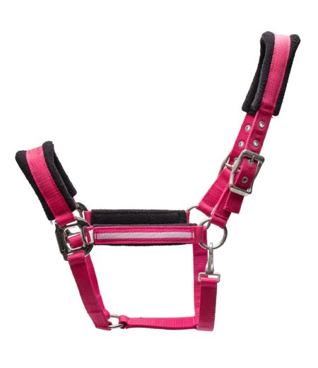 Horse Halter Nylon Soft Pink