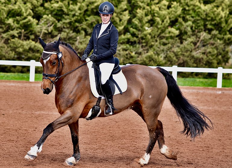 Stylish Dressage Saddle Pad  Fake Fur