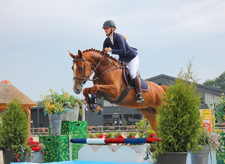 Jumping Saddle Pad Elegant Diamond Navy 