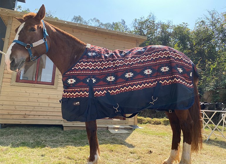 Horse Turnout Rug Printed Pattern