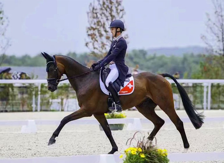 Show Jumping Saddle Pad Competition 