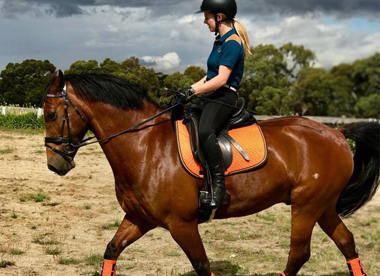 Dressage Saddle Pad Sophisticated Sienna