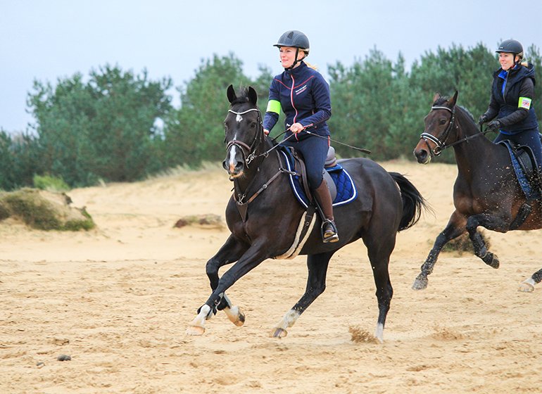 Jumping Saddle Pad Diamond Benetton Blue