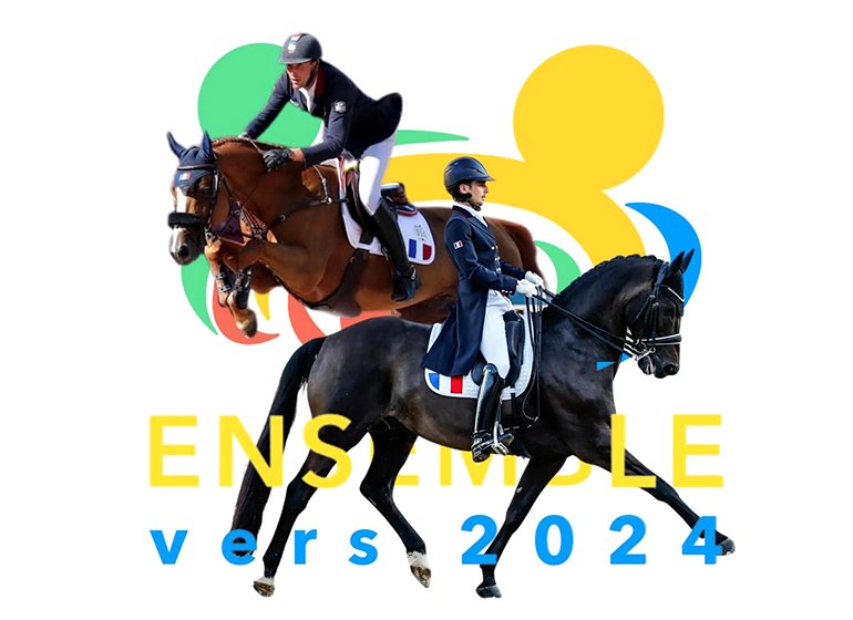 White Saddle Pad For Ensemble Vers 2024