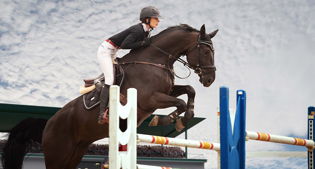 Exploring the Rich Heritage of Equestrianism: A Journey Through the Cultural History of Horse Sports