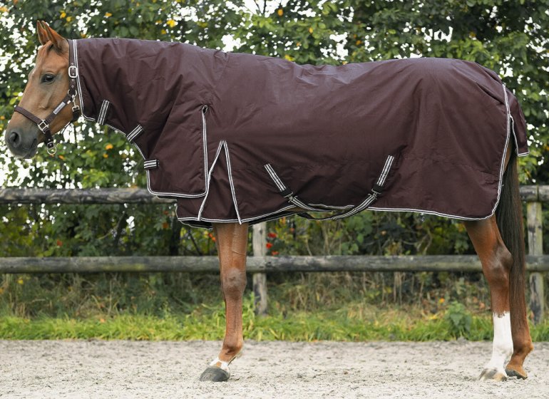 Horse Turnout Rug Wine Red With Neck Hood