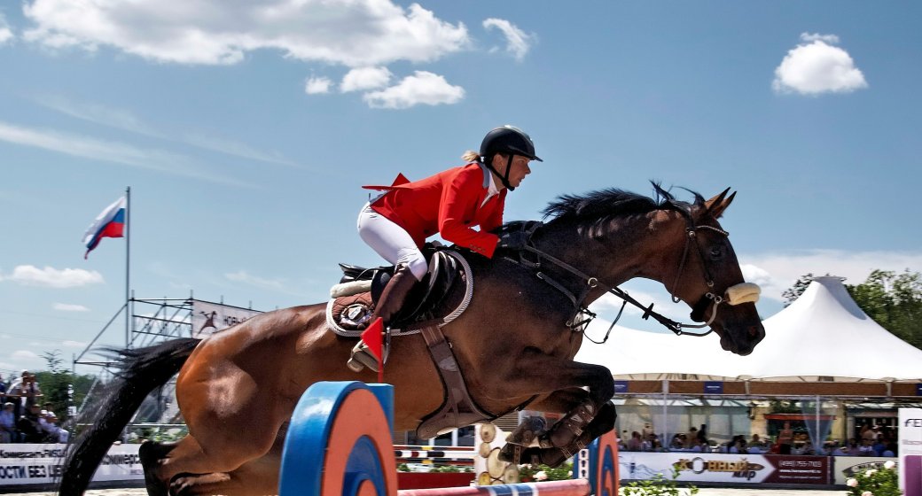 The Ultimate Pre-Competition Guide: How Top Equestrians Prepare Their Horses for Peak Performance