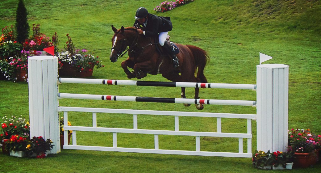 Elevating Equestrian Excellence: Advanced Training Techniques for Optimal Performance