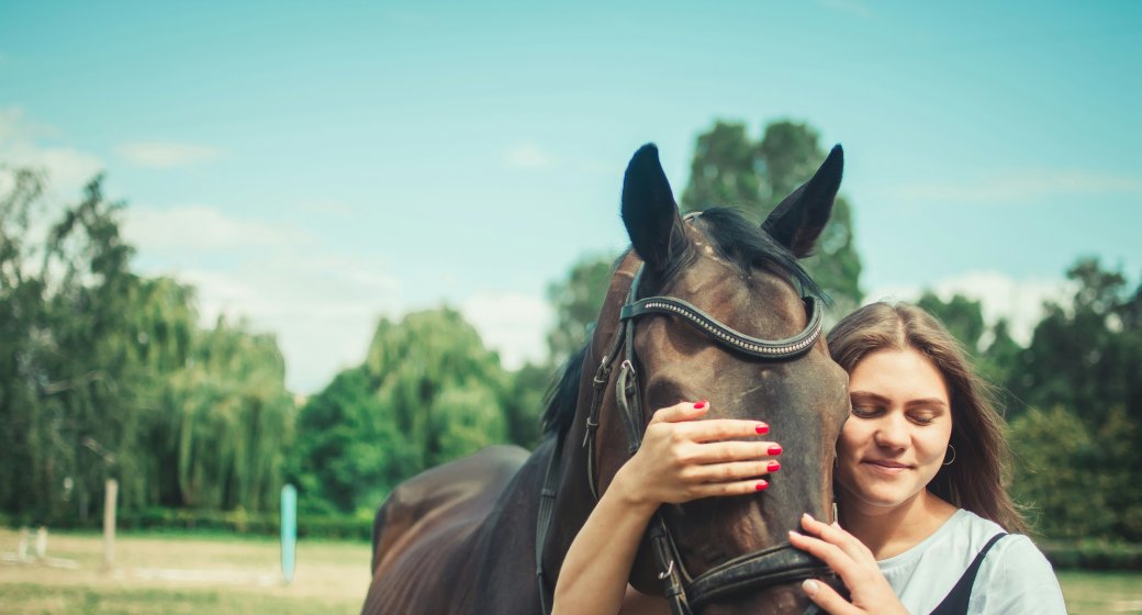The Equine Emotional Compass: Understanding Your Horse's Heart in Training