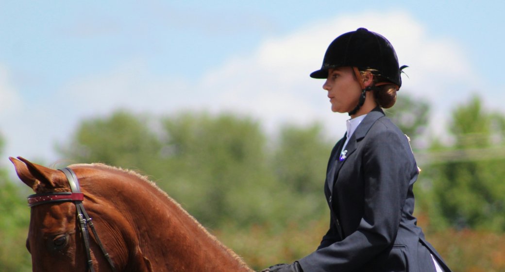 Dressage: The Art of Equestrian Ballet and How It Begins in the Workshop