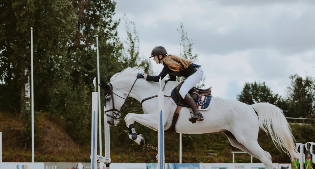 The Smart Beginner’s Tack Box: 7 Essential Pieces of Horse Riding Gear