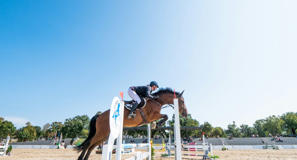 How to Protect Horse Legs: A Complete Guide to Horse Boots & Leg Wraps for Training & Jumping