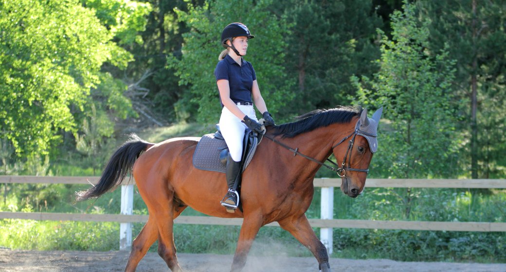 From Sweat to Comfort – Mastering the Art of Selecting Summer Equestrian Gear
