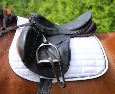 Saddle Pad